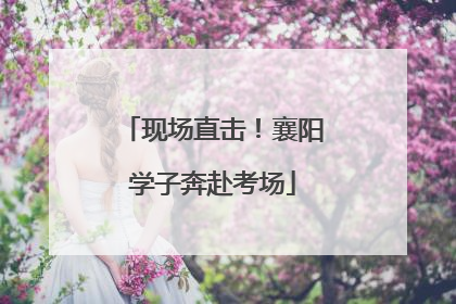 现场直击！襄阳学子奔赴考场
