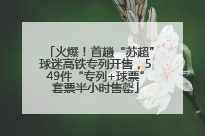 火爆！首趟“苏超”球迷高铁专列开售，549件“专列+球票”套票半小时售罄