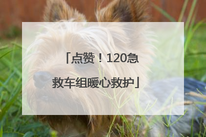 点赞！120急救车组暖心救护