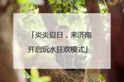 炎炎夏日，来济南开启玩水狂欢模式