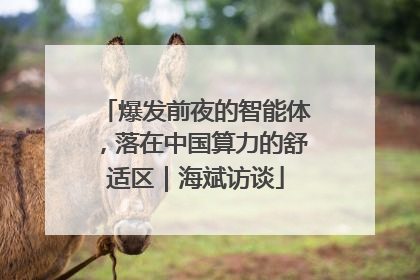 爆发前夜的智能体，落在中国算力的舒适区｜海斌访谈