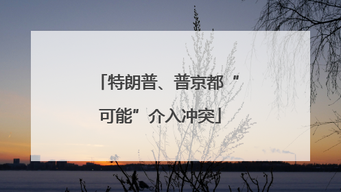 特朗普、普京都“可能”介入冲突