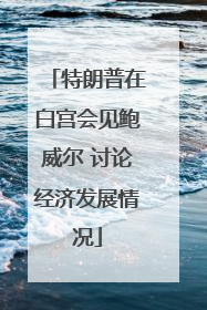 特朗普在白宫会见鲍威尔 讨论经济发展情况
