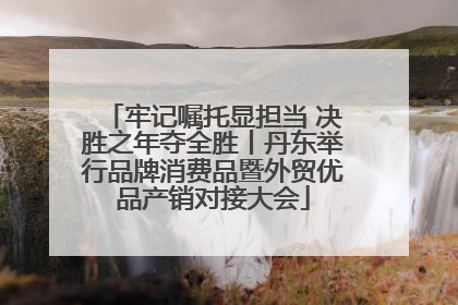 牢记嘱托显担当 决胜之年夺全胜丨丹东举行品牌消费品暨外贸优品产销对接大会