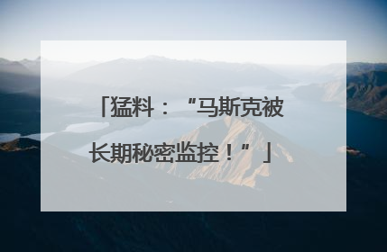 猛料：“马斯克被长期秘密监控！”