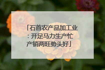 石首农产品加工业：开足马力生产忙 产销两旺势头好
