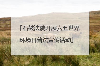 石鼓法院开展六五世界环境日普法宣传活动