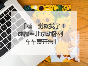睡一觉就拢了！成都至北京动卧列车车票开售
