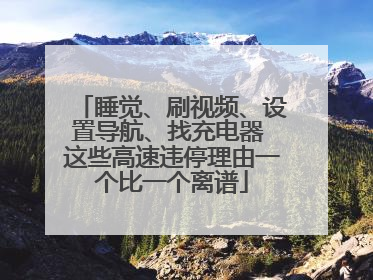 睡觉、刷视频、设置导航、找充电器 这些高速违停理由一个比一个离谱