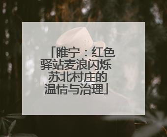 睢宁：红色驿站麦浪闪烁 苏北村庄的温情与治理