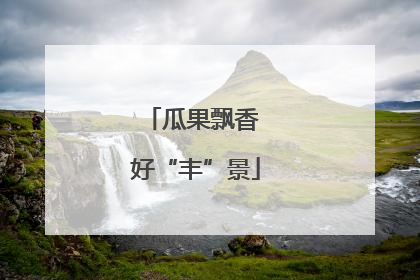 瓜果飘香 好“丰”景