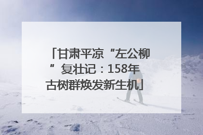 甘肃平凉“左公柳”复壮记：158年古树群焕发新生机