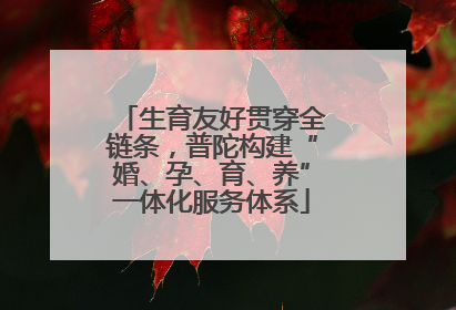 生育友好贯穿全链条，普陀构建“婚、孕、育、养”一体化服务体系
