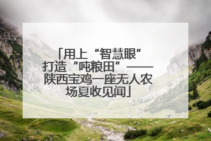 用上“智慧眼” 打造“吨粮田”——陕西宝鸡一座无人农场夏收见闻