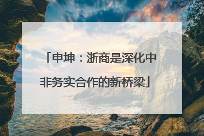 申坤：浙商是深化中非务实合作的新桥梁