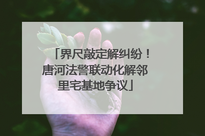 界尺敲定解纠纷！唐河法警联动化解邻里宅基地争议