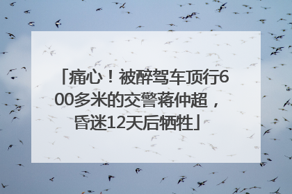 痛心！被醉驾车顶行600多米的交警蒋仲超，昏迷12天后牺牲