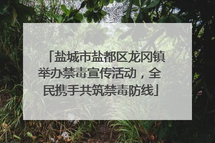 盐城市盐都区龙冈镇举办禁毒宣传活动，全民携手共筑禁毒防线