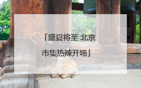 盛夏将至 北京市集热辣开场