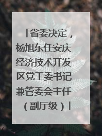 省委决定，杨旭东任安庆经济技术开发区党工委书记兼管委会主任（副厅级）