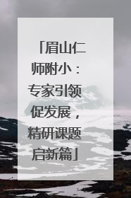 眉山仁师附小：专家引领促发展，精研课题启新篇