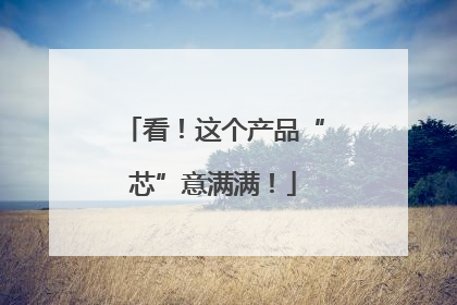 看！这个产品“芯”意满满！