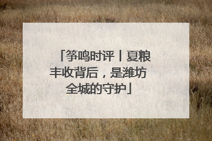 筝鸣时评丨夏粮丰收背后，是潍坊全城的守护