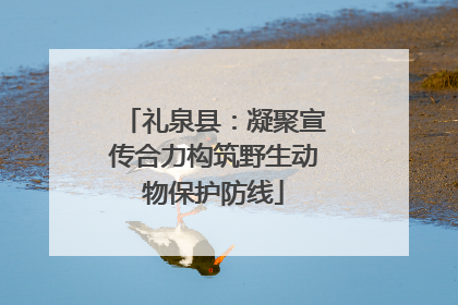 礼泉县：凝聚宣传合力构筑野生动物保护防线