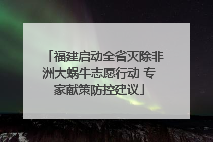 福建启动全省灭除非洲大蜗牛志愿行动 专家献策防控建议