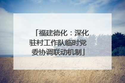 福建德化：深化驻村工作队临时党委协调联动机制