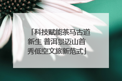科技赋能茶马古道新生 普洱景迈山首秀低空文旅新范式
