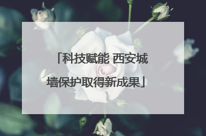 科技赋能 西安城墙保护取得新成果