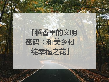 稻香里的文明密码：和美乡村绽幸福之花