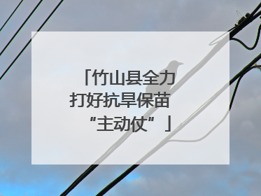竹山县全力打好抗旱保苗“主动仗”