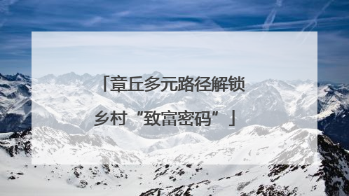 章丘多元路径解锁乡村“致富密码”