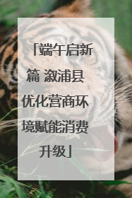 端午启新篇 溆浦县优化营商环境赋能消费升级