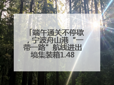 端午通关不停歇，宁波舟山港“一带一路”航线进出境集装箱1.48万标箱