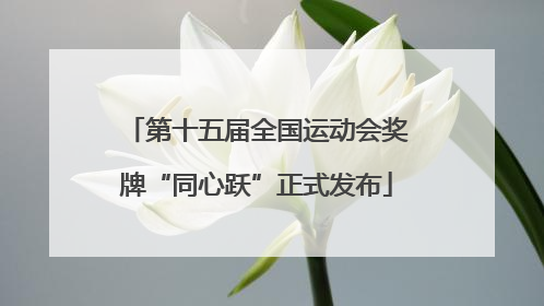 第十五届全国运动会奖牌“同心跃”正式发布