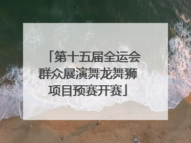 第十五届全运会群众展演舞龙舞狮项目预赛开赛