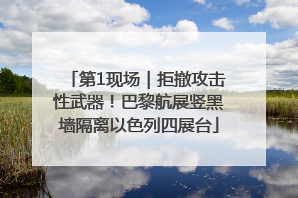 第1现场｜拒撤攻击性武器！巴黎航展竖黑墙隔离以色列四展台