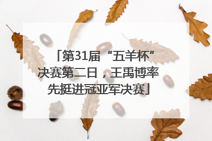 第31届“五羊杯”决赛第二日，王禹博率先挺进冠亚军决赛