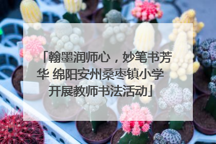 翰墨润师心，妙笔书芳华 绵阳安州桑枣镇小学开展教师书法活动