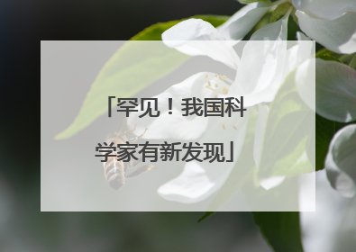 罕见！我国科学家有新发现