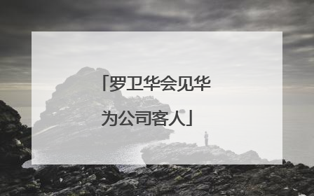 罗卫华会见华为公司客人