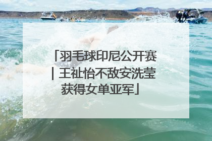 羽毛球印尼公开赛｜王祉怡不敌安洗莹 获得女单亚军