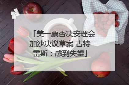 美一票否决安理会加沙决议草案 古特雷斯：感到失望