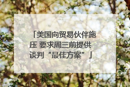 美国向贸易伙伴施压 要求周三前提供谈判“最佳方案”