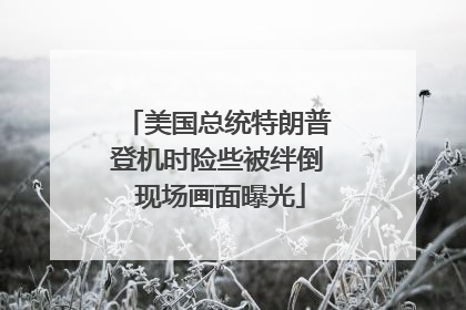 美国总统特朗普登机时险些被绊倒 现场画面曝光