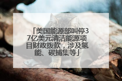 美国能源部叫停37亿美元清洁能源项目财政拨款，涉及氢能、碳捕集等