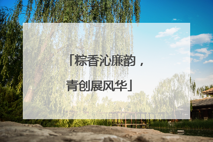 粽香沁廉韵，青创展风华